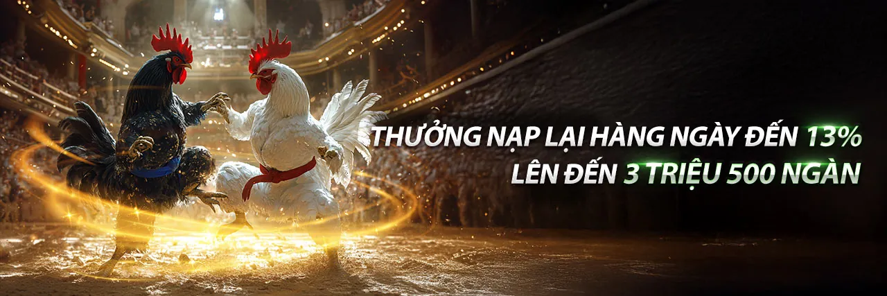 Hình ảnh chính của trang đăng ký 8qbet hiện đang mở